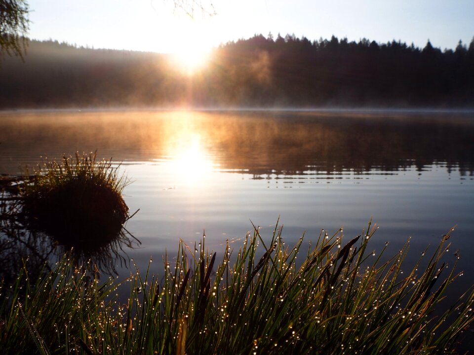 Nature morning light