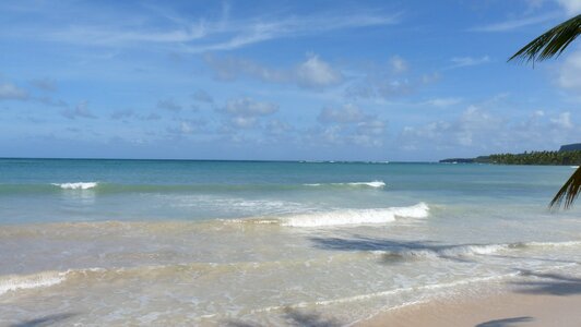 Beach samana dominican republic photo