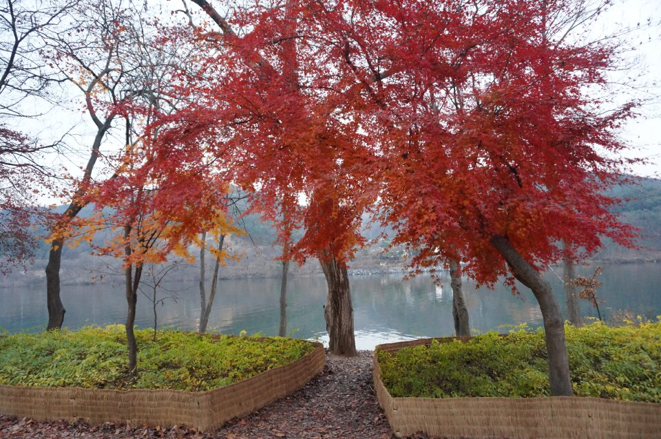 Gangwon do chuncheon korea