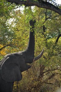 Wildlife park nature