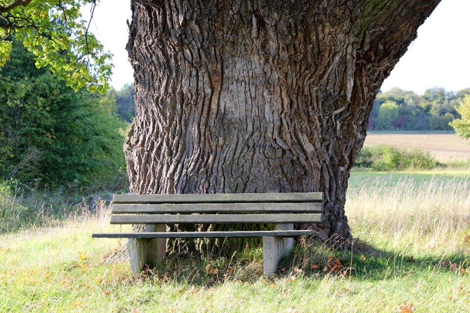 Nature court oak breuna