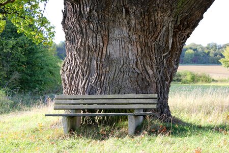 Nature court oak breuna