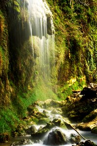 Green antalya day photo