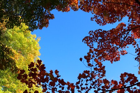 Blue sky yellow