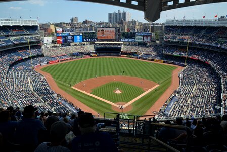 New york sun-kiss yankees mlb