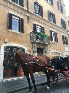 Italy city