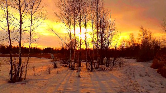 Nature living nature evening