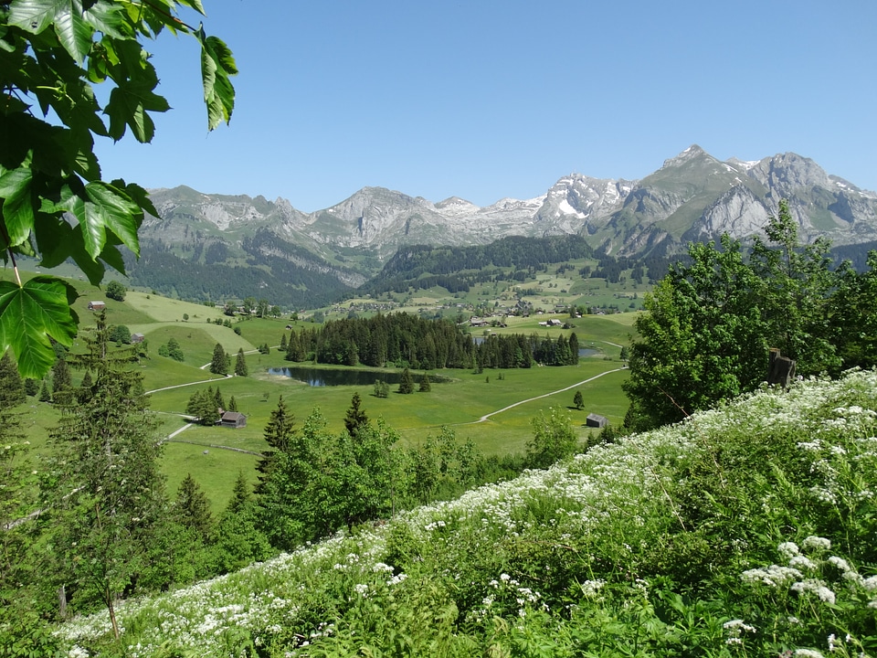 Nature alpine mountains