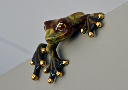 Funny happy treefrog
