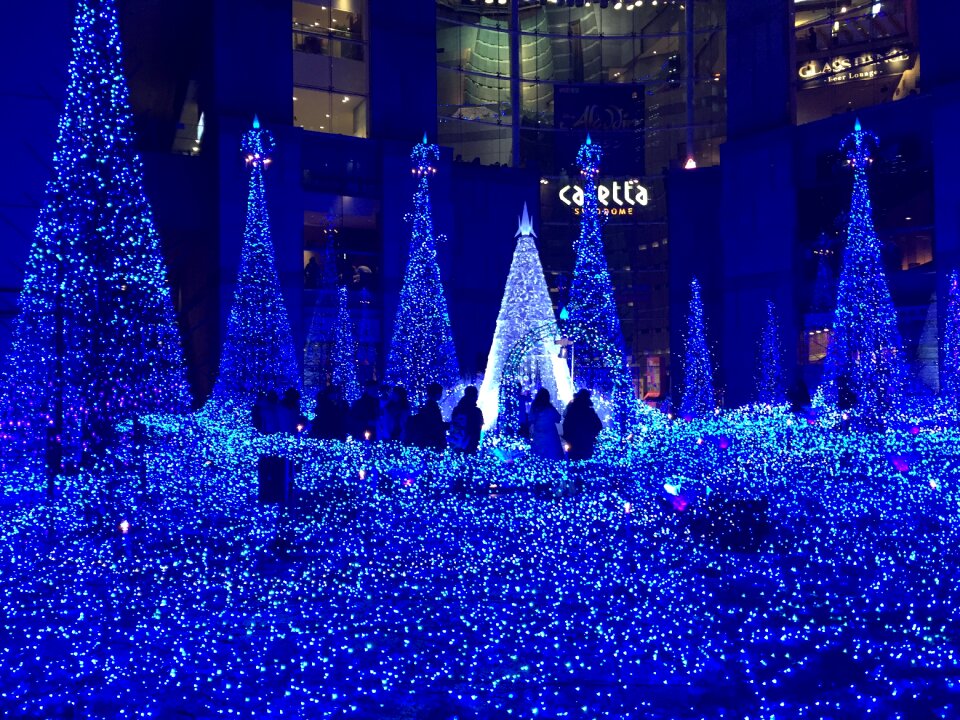 Japan evening stay the festival of lights