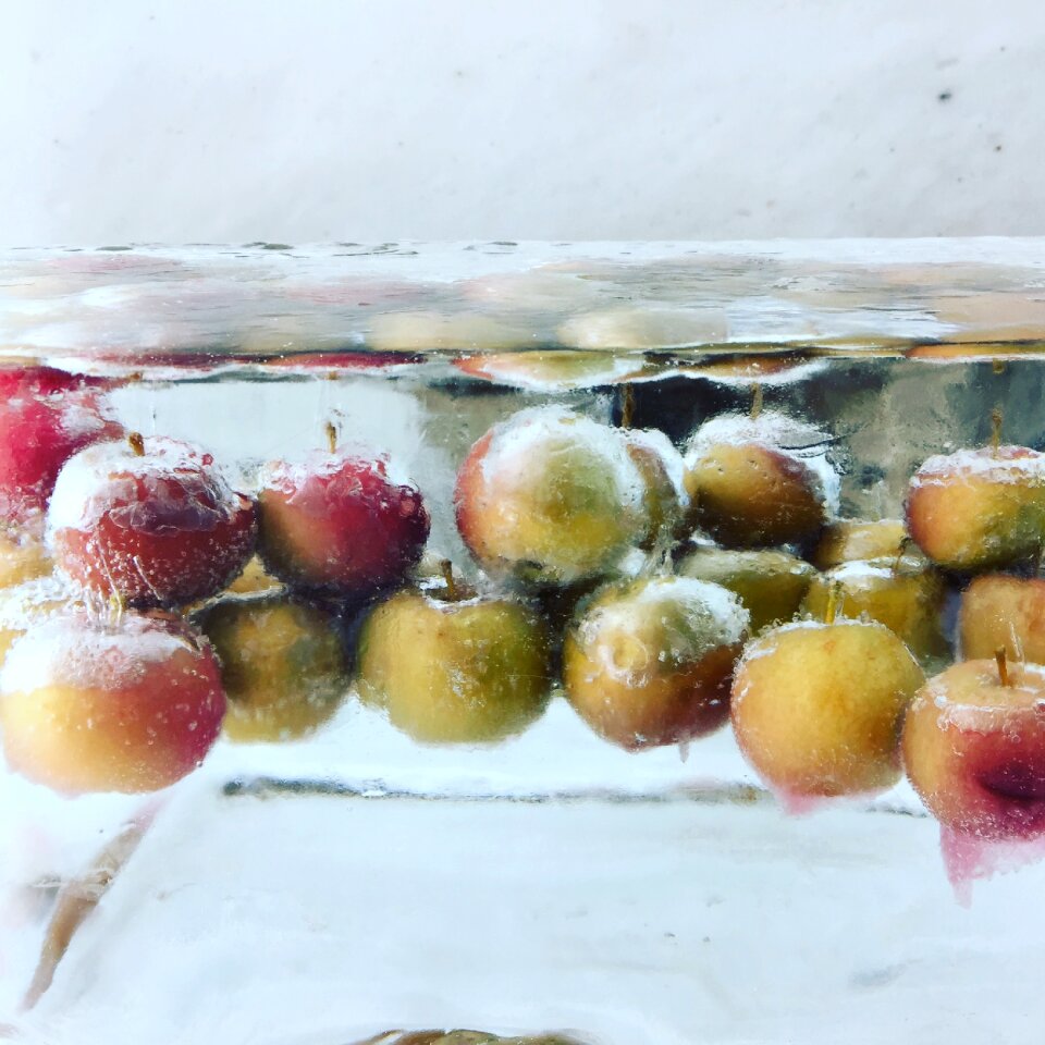Apples ice quebec