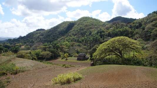 Mountains green cuba
