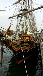Ijmuiden sailing boat french lily