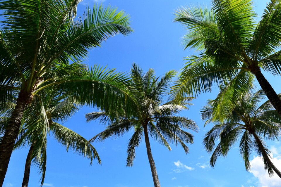 Beach sunshine blue sky