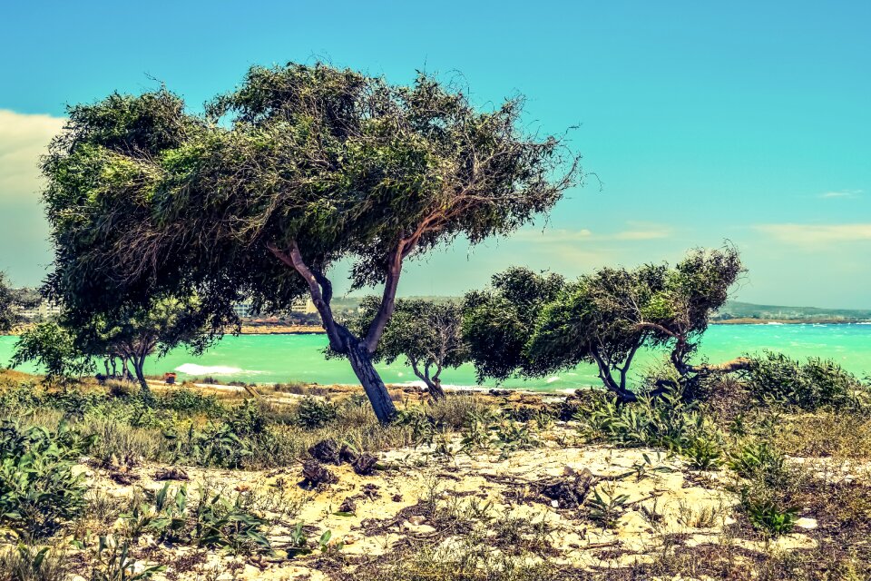 Nature landscape scenery