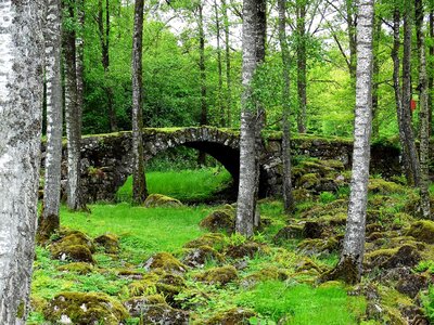Stone bridge summer halland