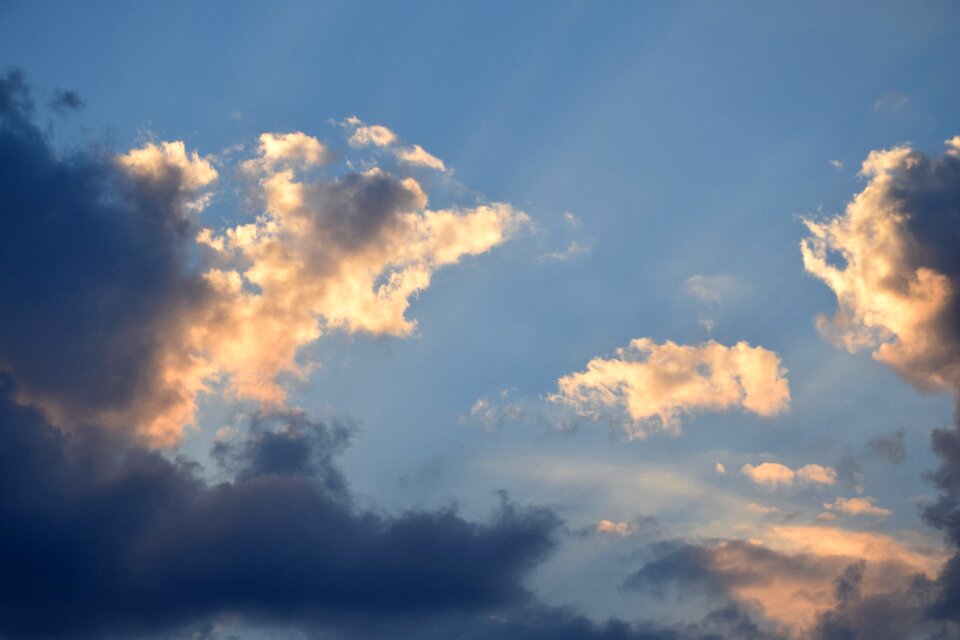 Nature blue sunny