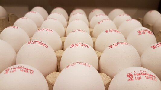 Egg carton eat food