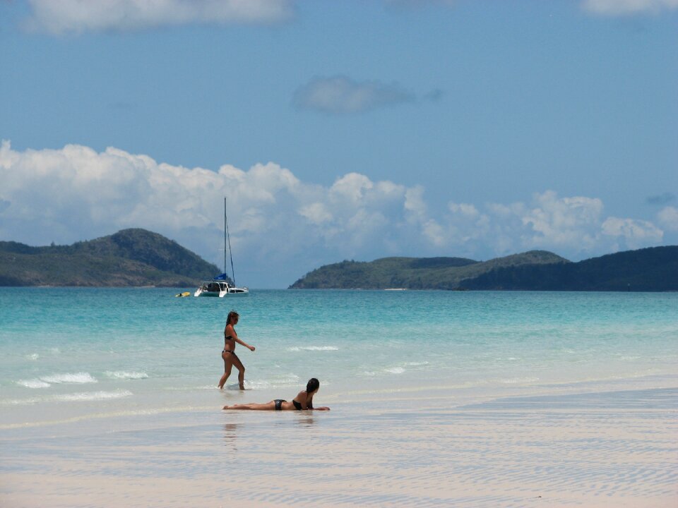 Queensland whitehaven