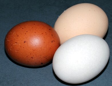 Chicken eggs food nutrition photo
