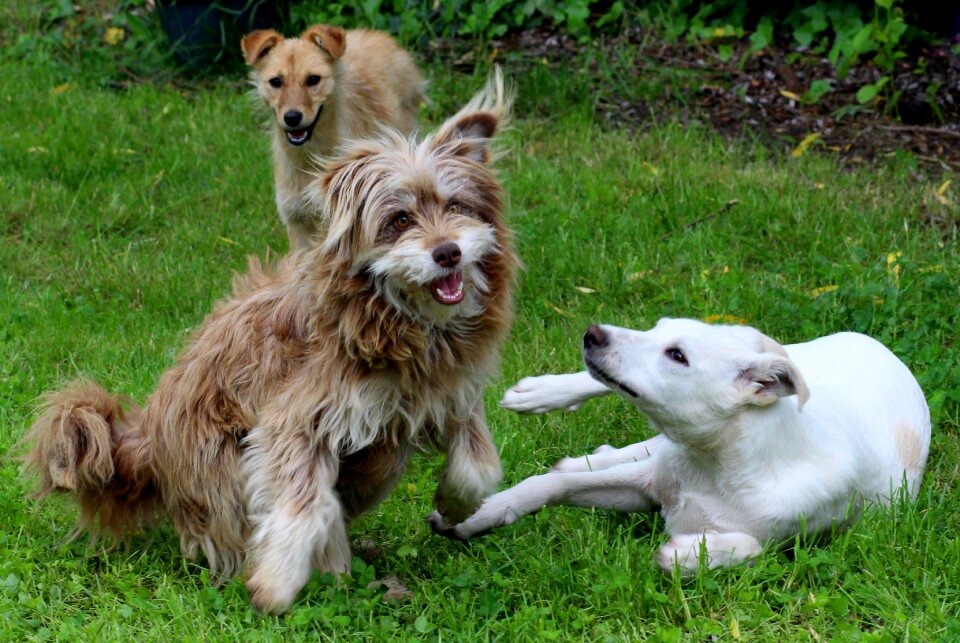 Cheerful friendship funny