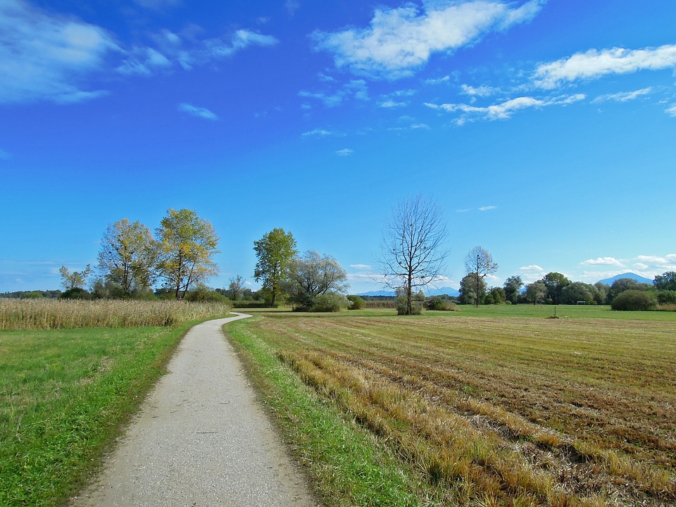 Autumn atmosphere sky