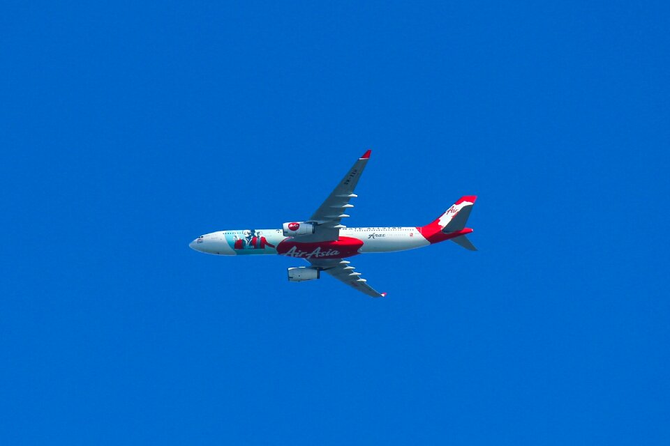Fly travel transportation