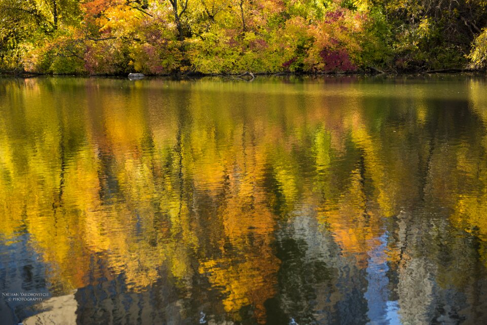 Landscape relaxation peaceful