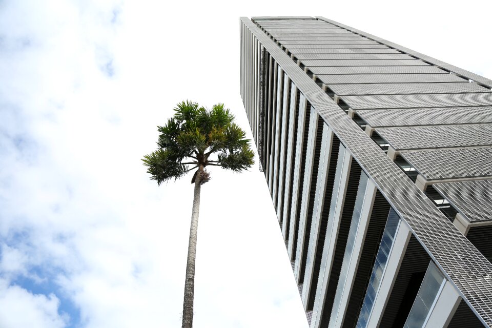 Sky architecture city
