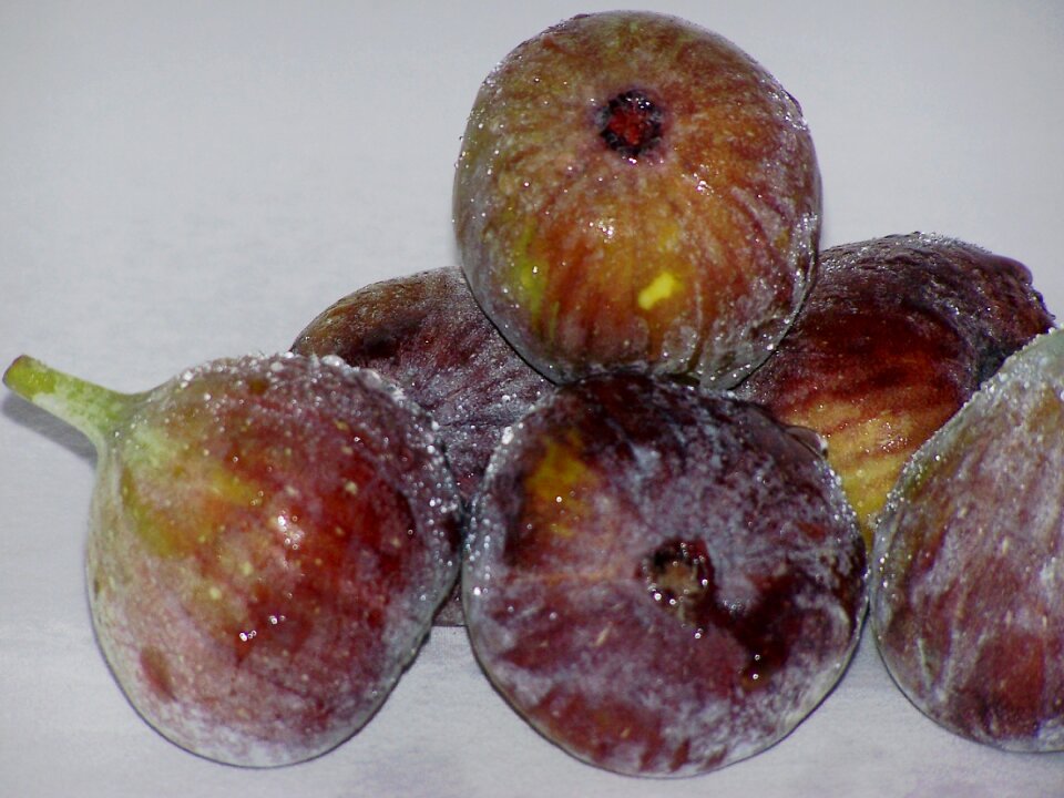 Fig fruit power functional