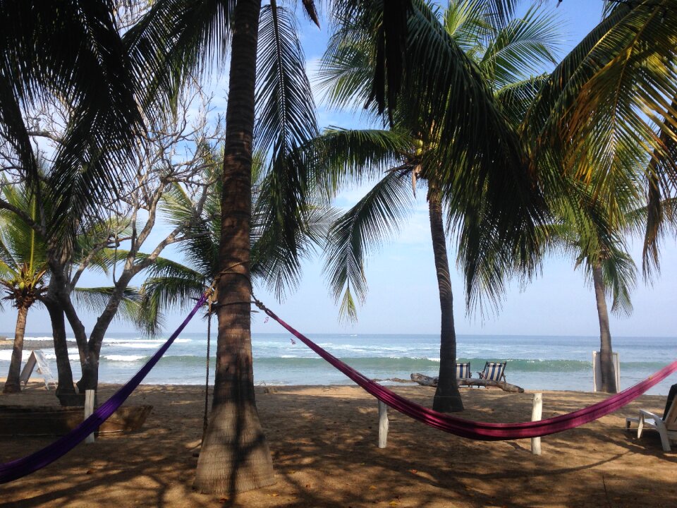 Palms hammock sand