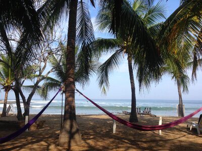 Palms hammock sand