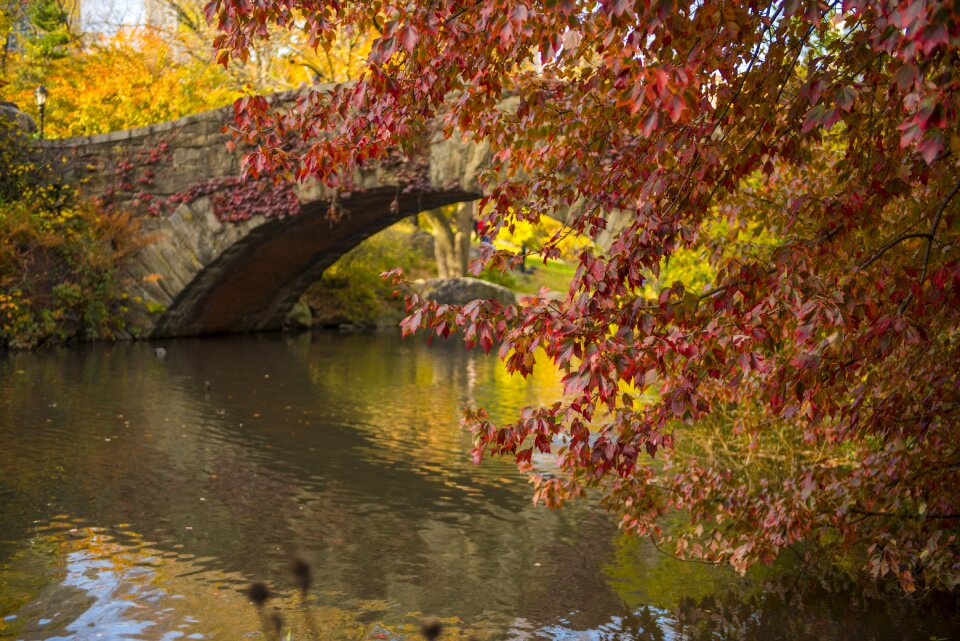Scenic central park