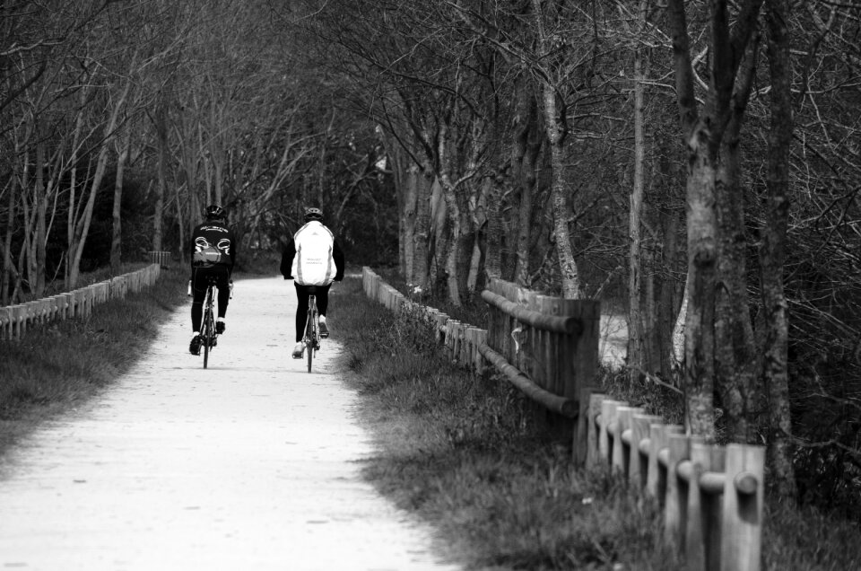 Transport two wheels hobbies