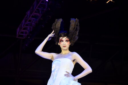 Hairstyle art wig hair design
