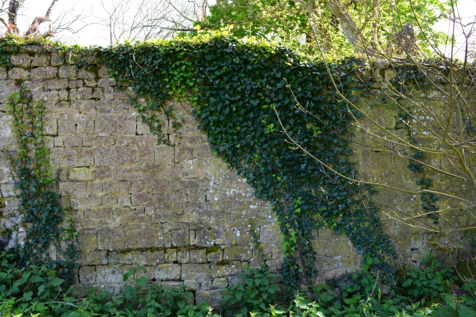 Old france
