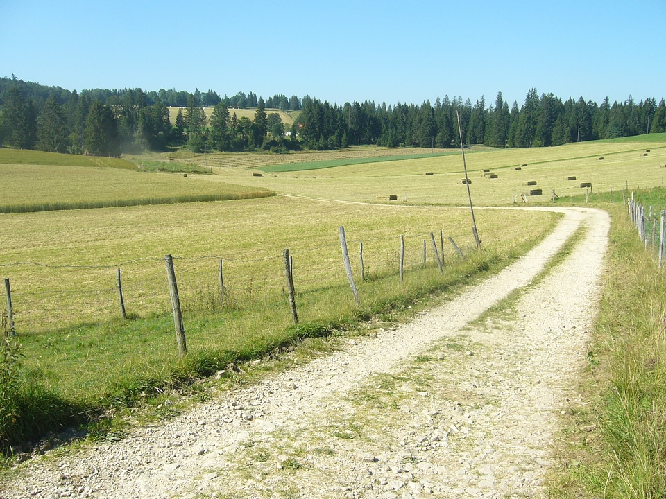 Switzerland road field