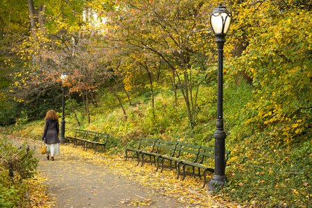 America central park new york architecture photo