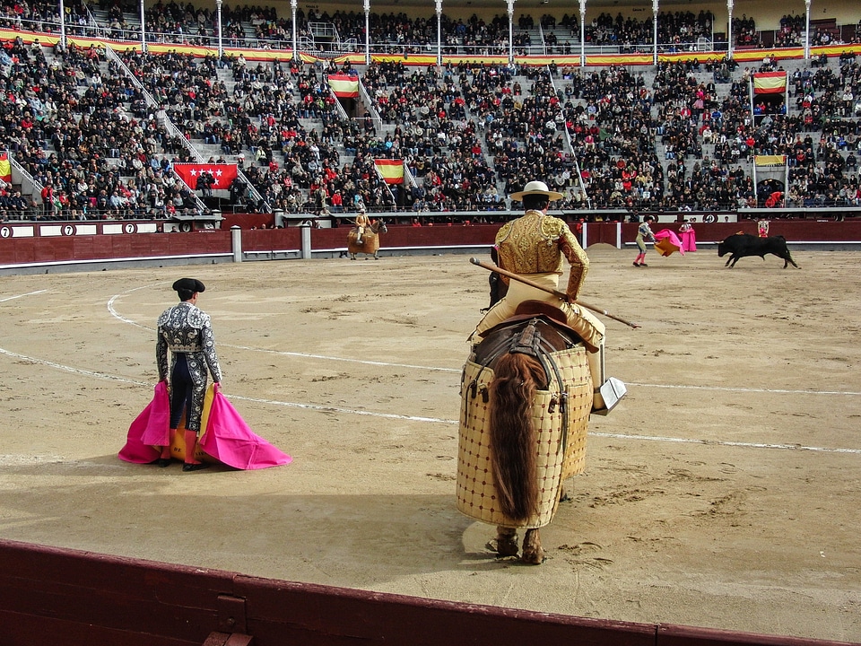Spain matador bullfights