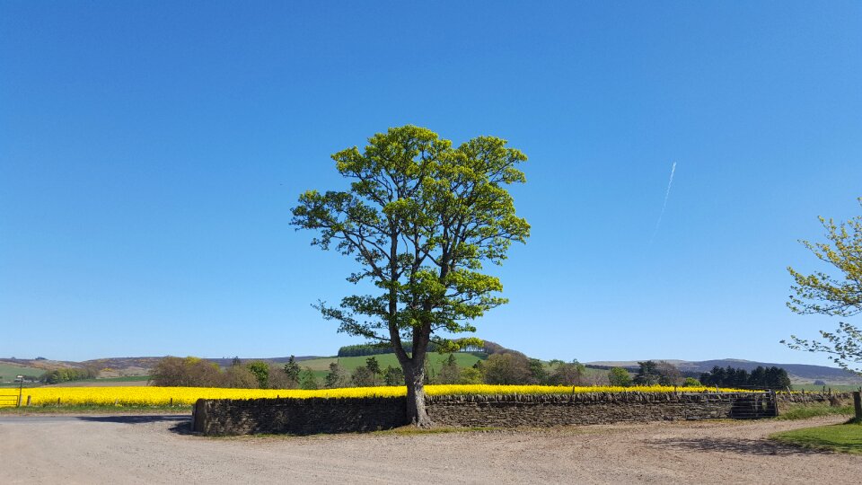 Summer countryside sky photo