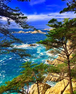 California blue