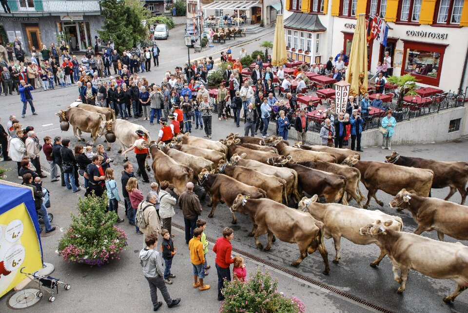 Appenzell switzerland in the tradition of the