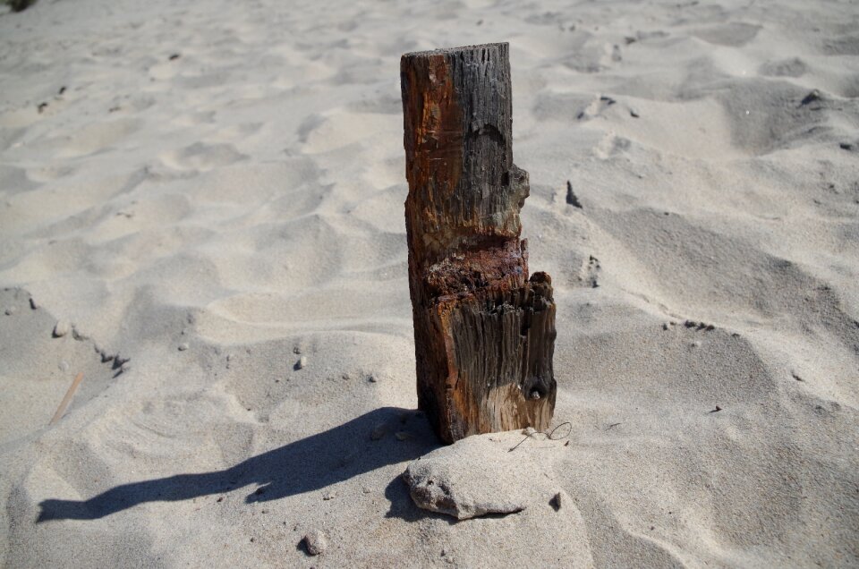Flotsam and jetsam sand driftwood