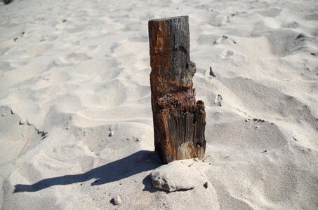 Flotsam and jetsam sand driftwood