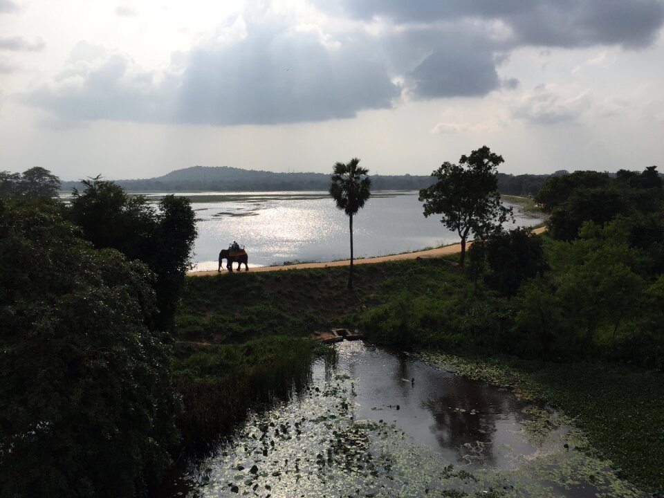 Elephant sigirya against day
