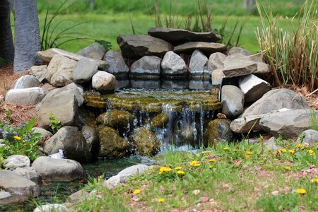 Water garden