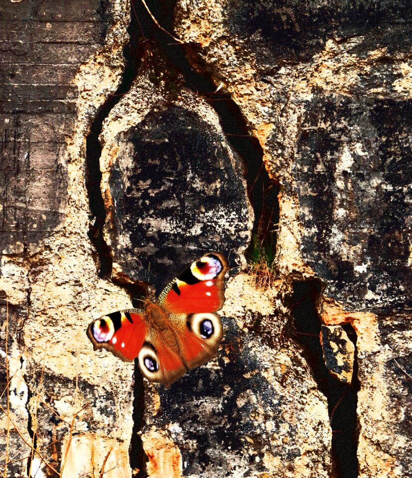 Close up wall crack