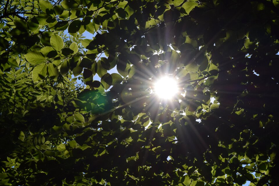 To cover wispy day s sunshine
