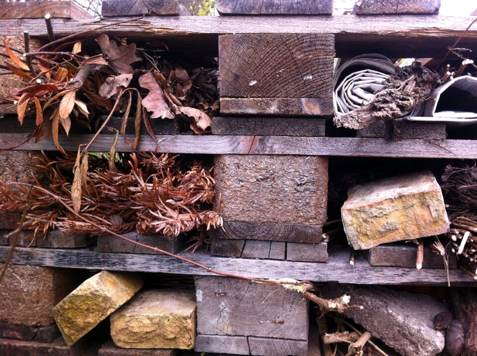 Insect insecthotel farming