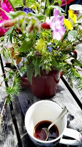 Outdoor nature summer
